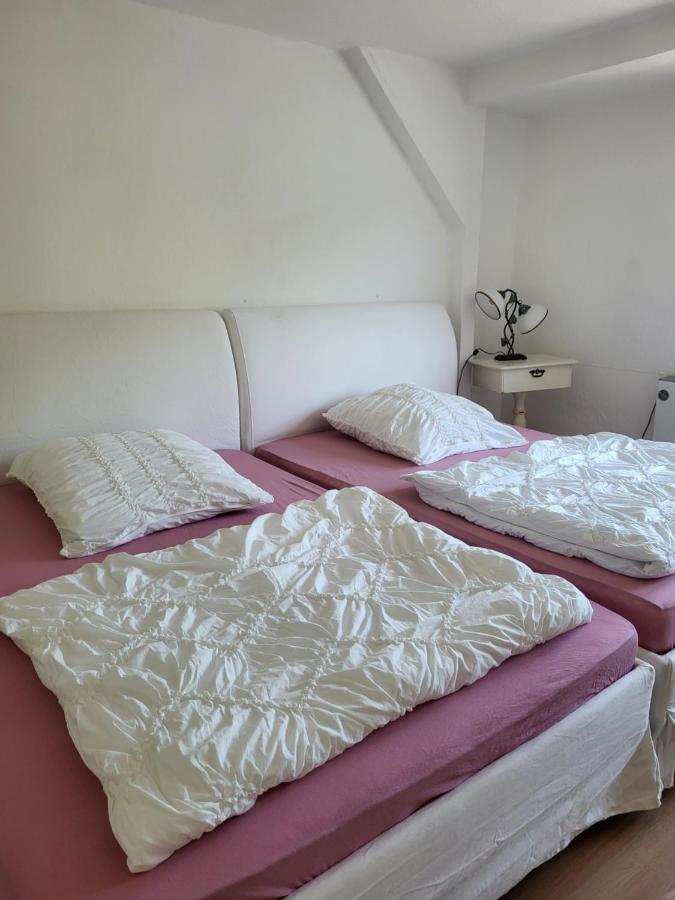 Elbblick Appartement Königstein an der Elbe Buitenkant foto