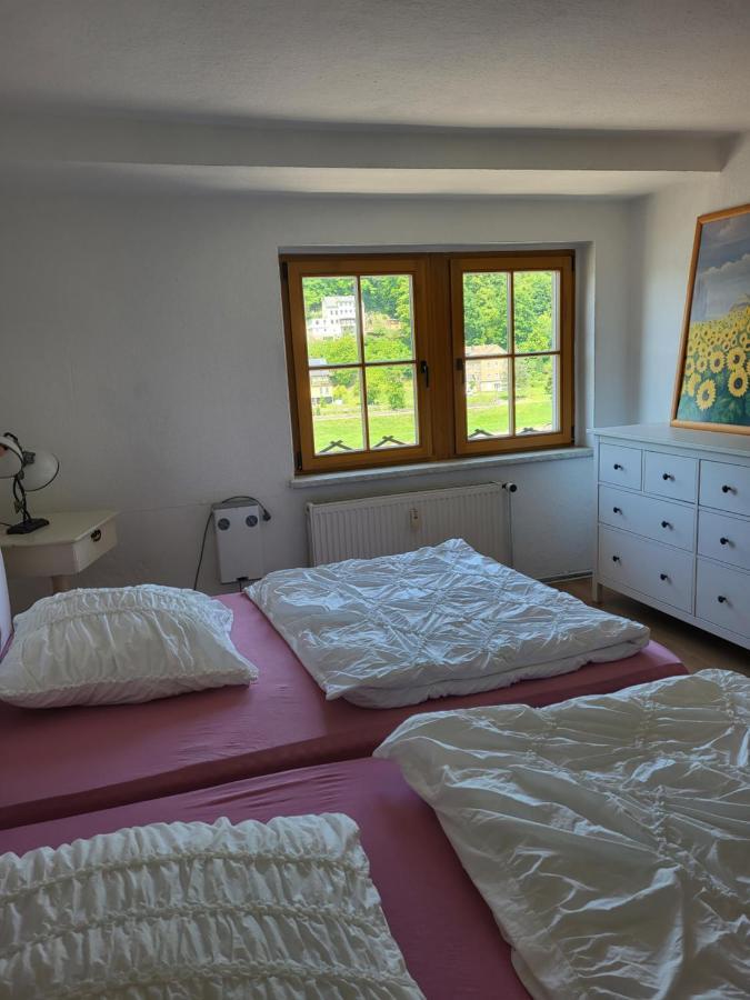 Elbblick Appartement Königstein an der Elbe Buitenkant foto